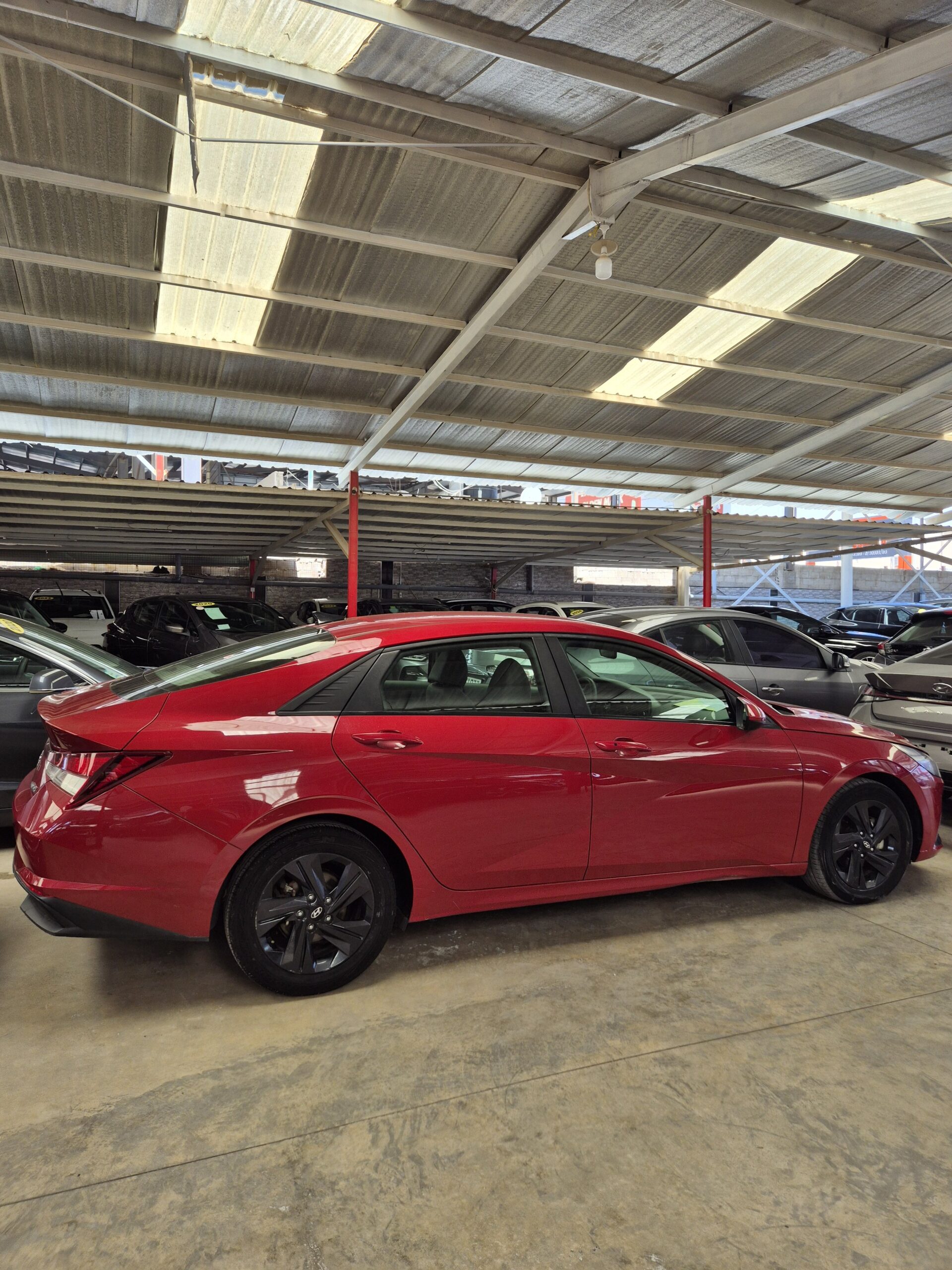 elantra