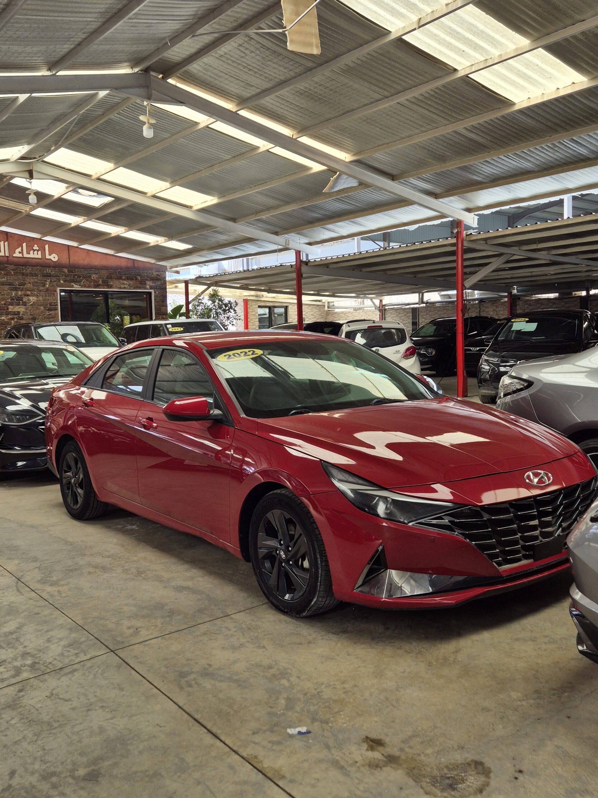 elantra